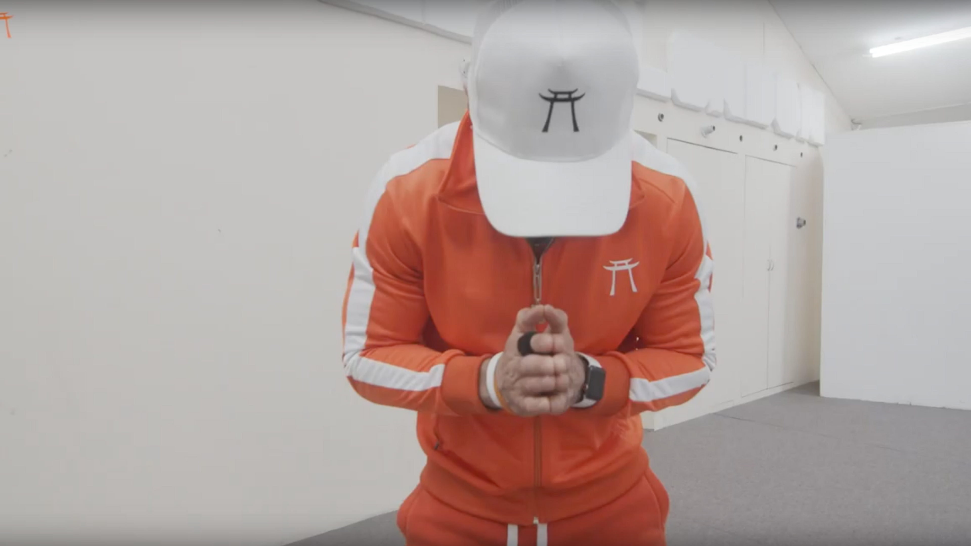 TEMPLE VLOGS